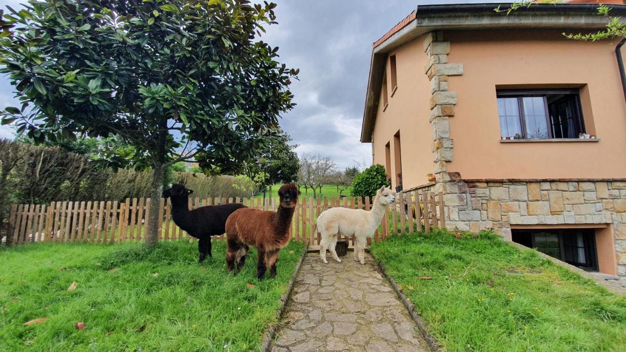 Hotel 3 Alpacas La Campa Exterior photo